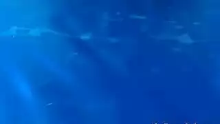 سقس مسلسل ماري تشوي سقس مسلسل ماري تشوي