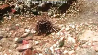 زوجين شابين يمارسان الحب في مكان عام