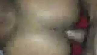 النحيف كوغار كوغار شقي جدا مع ابنها