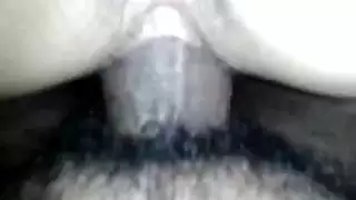 نيك عربي قاسي مؤلم نيك عربي قاسي مؤلم