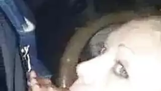اثنين من الكتاكيت وجه الوجه. اثنين من الكتاكيت وجه الوجه.