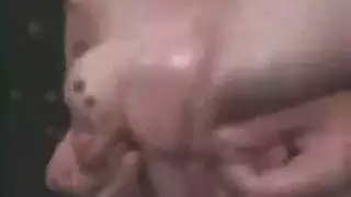 فديوه مصري متحرك صوت صوره فديوه مصري متحرك صوت صوره
