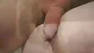 الشباب يلعبون الحفلة الشباب يلعبون الحفلة